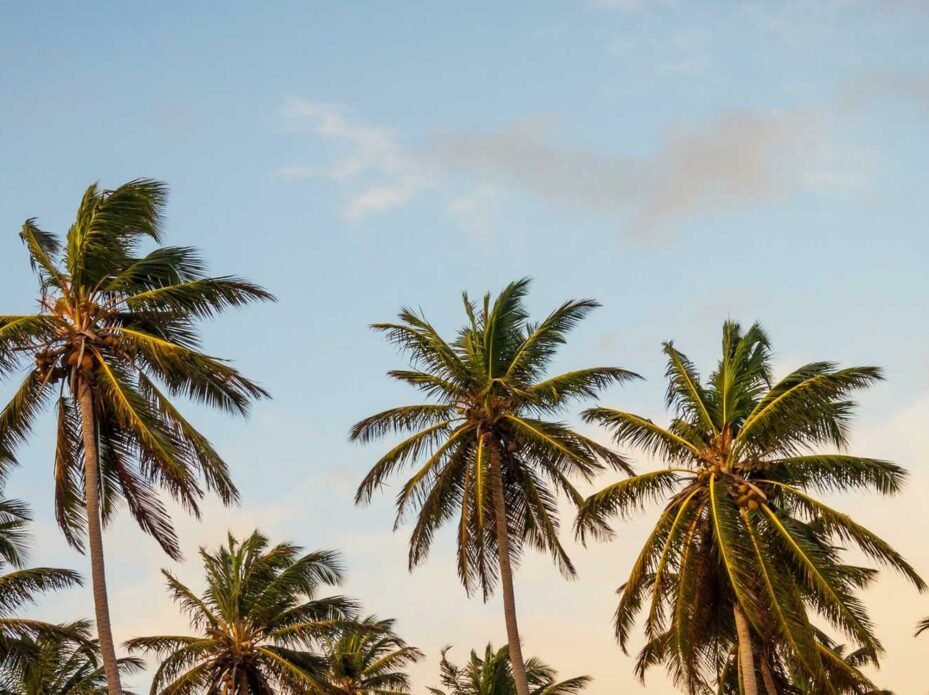 Exemple de fichier média