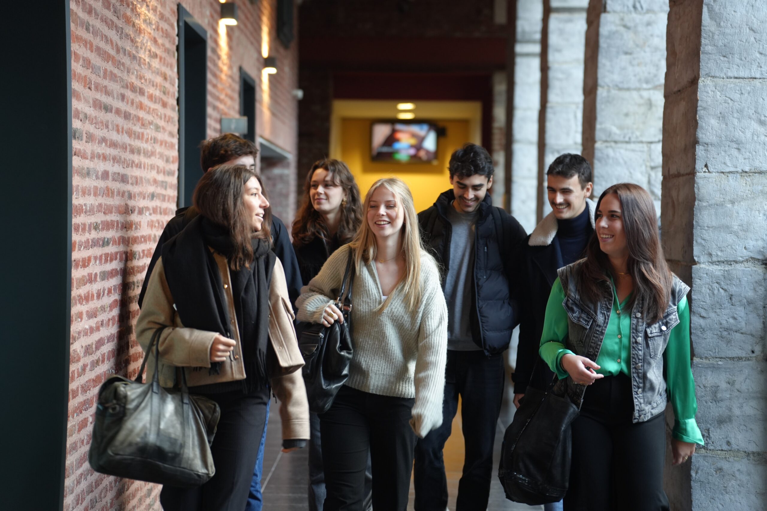 Organisation de l'IAE Lille