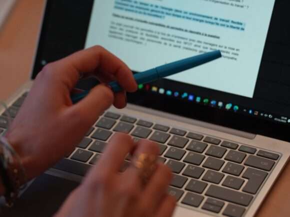 Organisation de l'IAE Lille