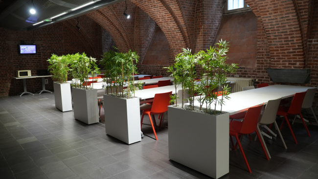 "la cave", un lieu pour te poser et manger Salle C09 - Campus Vieux Lille de l'IAE Lille