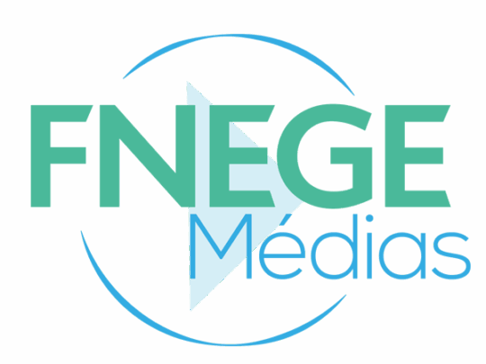 Logo FNEGE Medias