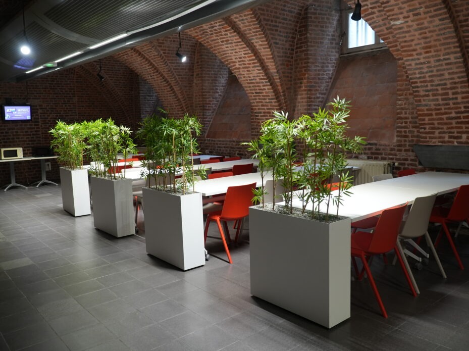 ‘La Cave’, a place to relax and have a bite to eat – Room C09 – IAE Lille’s Vieux Lille Campus