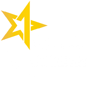Open Badge - Prix Excellence Mémoire IAE Lille 2021