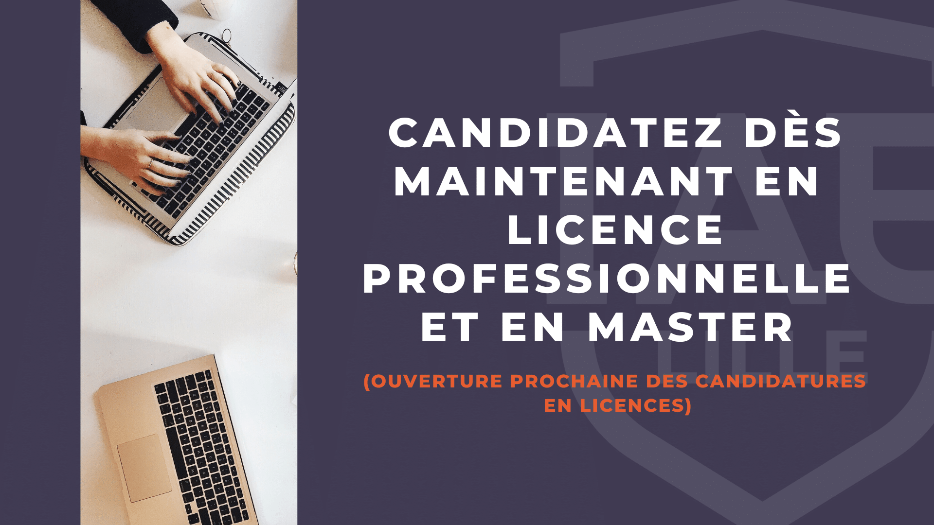 Candidature en licences pro et masters à l'IAE Lille