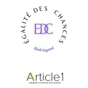 Égalité des chances, IAE Lille | Article 1